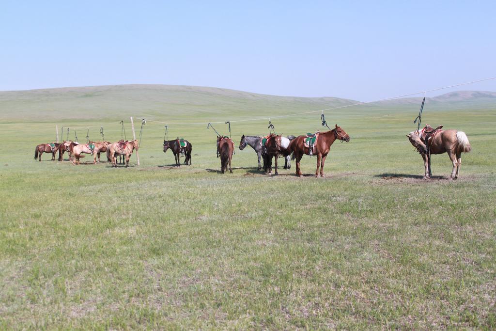 Gasthaus Nomad Horse Camp Nalayh Exterior foto